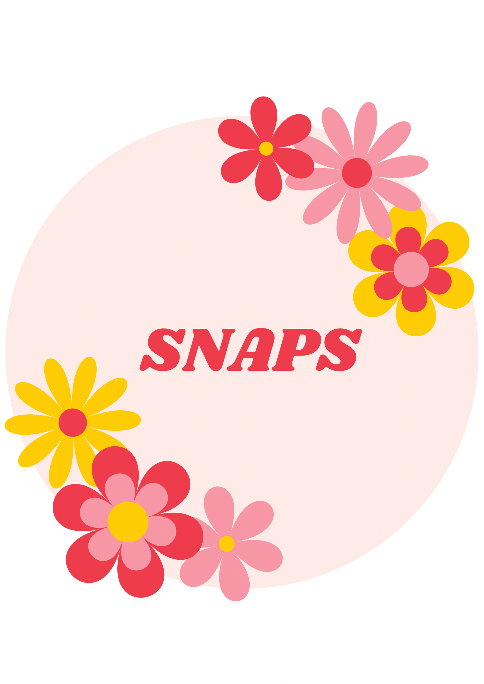 Snaps Add-On